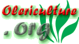 Olericulture - Vegetable Cultivation and Production