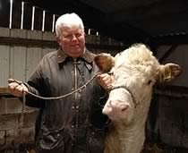 stanford livestock
