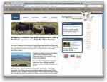Hedgeley Livestock