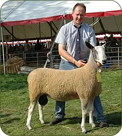 Nicholas Robinson with his leading Bluefaced shearling which sold for &pound;3,500to top the breed entry at Kelso Ram Sales 2004.