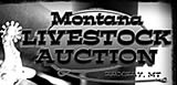 Montana Livestock Auction