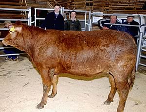 Champion from Brackensghyll