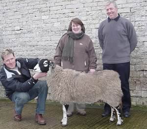 Swaledale Champion