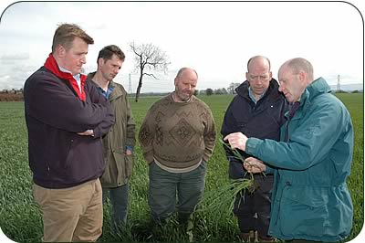 Agronomy group members