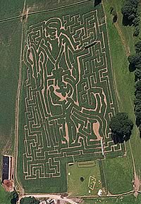 Shepherd &amp; Sheepdog Maze