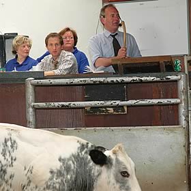 Auctioneer Bruce Walton