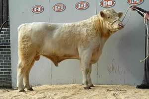 Barlaes Bonus - 2,600gns