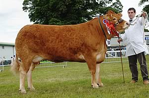 The Champion, Carmorn Voney, with owner and exhibitor, Peter Smyth.