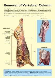 Removal of Vertebral Column Leaflet