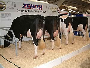 dairy event