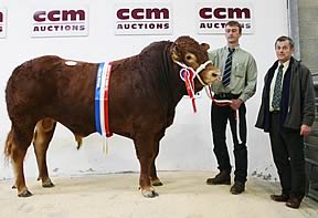Fieldson Alfy - 37,000 guineas