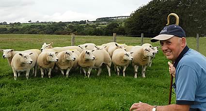 Alan Walker and his Newhill Texel flock