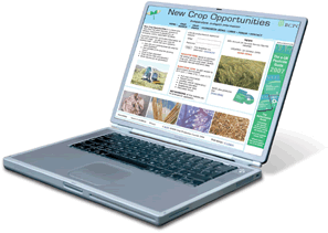 New Crop Opportunities – in-depth, independent, information