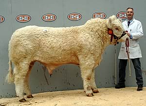 Ellerton Alberto led the trade at 22,000gns