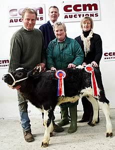 Skipton calf champion