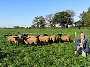 Tom Cox with his gimmers