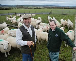 Jimmy Bell, left, and Maurice and ewes in lamb to the Texel at East Wingates