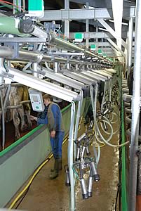 Milking Parlour