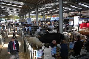 Beef Expo 2006