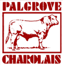 palgrove charolais