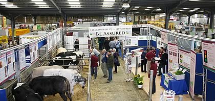 beef expo 2007