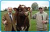 newfield beef shorthorns