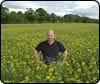 winter osr
