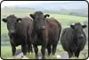 herding hill farm