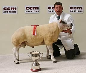 Beltex National Progeny Show champion