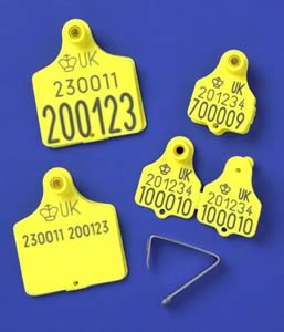 Nordic Star's eartag range
