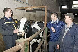 Michael and John Metcalf with Semex's Michael Dennison