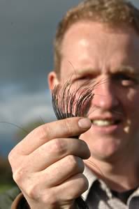 A DNA test simply requires a few strands of tail hair.