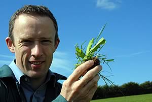 David Woodcock with the Puna II perennial chicory