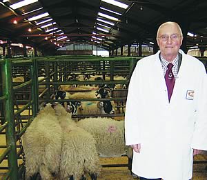 Stuart Bell