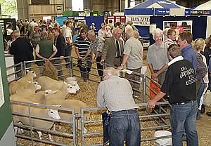 NSA sheep event