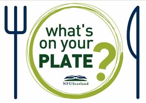 What’s On Your Plate?