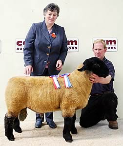 Skipton Suffolk champion