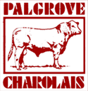 palgrove charolais