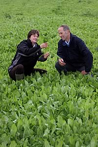 Helen Mathieu and Richard Ward