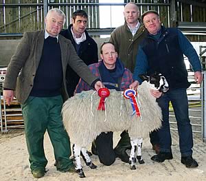 Skipton charity show champion