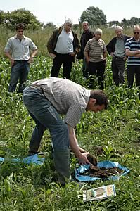 soil sampling