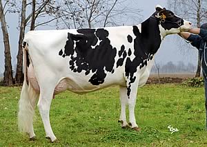 Quasimo daughter