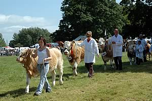 Cumberland Show