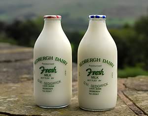 Sedbergh Dairy milk