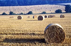 straw bales