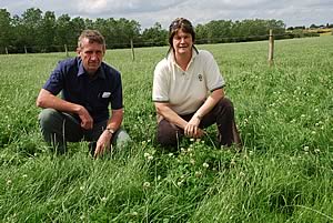 dairy cattle housing