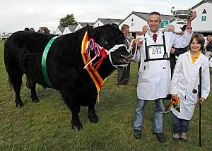 Supreme Beef Championship