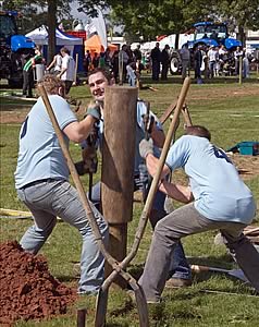 fence erecting competition