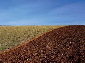 Good soil structure needs to be maintained