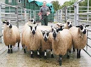 David Verity with his Masham gimmer lamb Skipton champions.